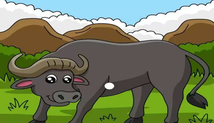 ચાર શખ્સોએ