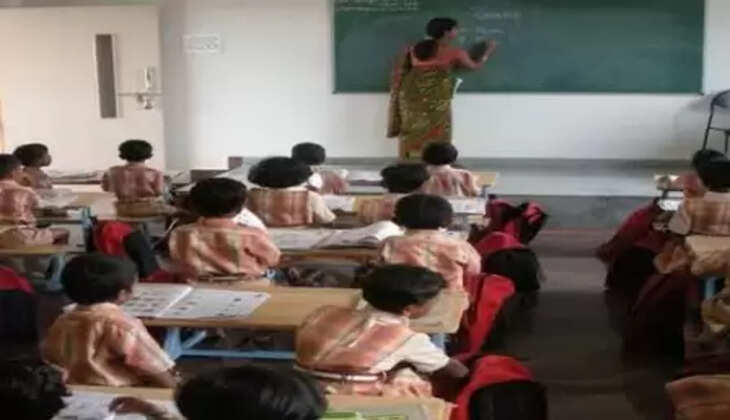ગાઈડલાઇન
