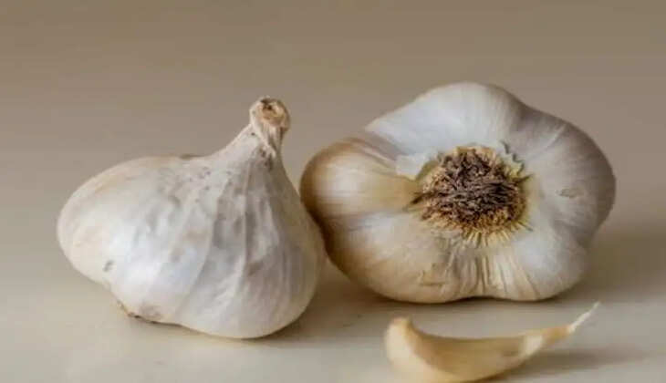 આરોગ્ય@શરીર: શેકેલું લસણ ખાવાથી થાય છે અનેક ફાયદા, જાણો ખાવાના ફાયદા અને નુકસાન