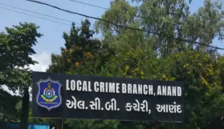 રિપોર્ટ@આણંદ: LCBએ બનાવટી યુરિયા ખાતર બનાવવાનું કૌભાંડ ઝડપી પાડ્યુ 