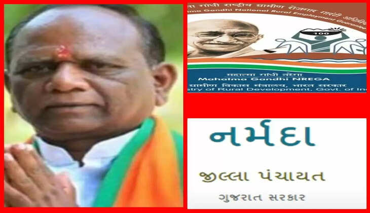 હડકંપ@નર્મદા: મનરેગાના કરારીની કરોડોની જમીનની વધુ તપાસ કરૂ છું , જોકે નિયામક તેને બચાવે છે: સાંસદ