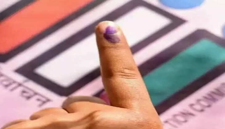 મતદાન