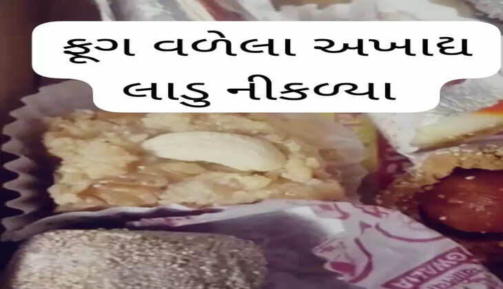 રિપોર્ટ@ગુજરાત: ગ્વાલિયા સ્વીટ્સ્સ  નામની દુકાનમાંથી ફૂગ વળેલા અખાદ્ય લાડુ નીકળ્યા