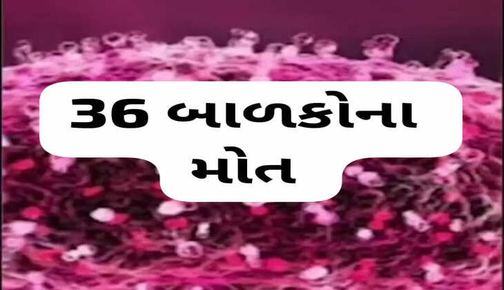 રિપોર્ટ@ગુજરાત: રાજ્યમાં ચાંદીપુરા વાઇરસે હાહાકાર મચાવ્યો, 36 બાળકોના મોત