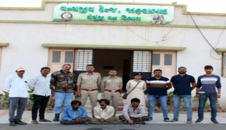 રિપોર્ટ@અમરેલી: વન્ય પ્રાણીઓનાં શિકાર માટે નીકળેલા 3 આરોપી  ઝડપાયા