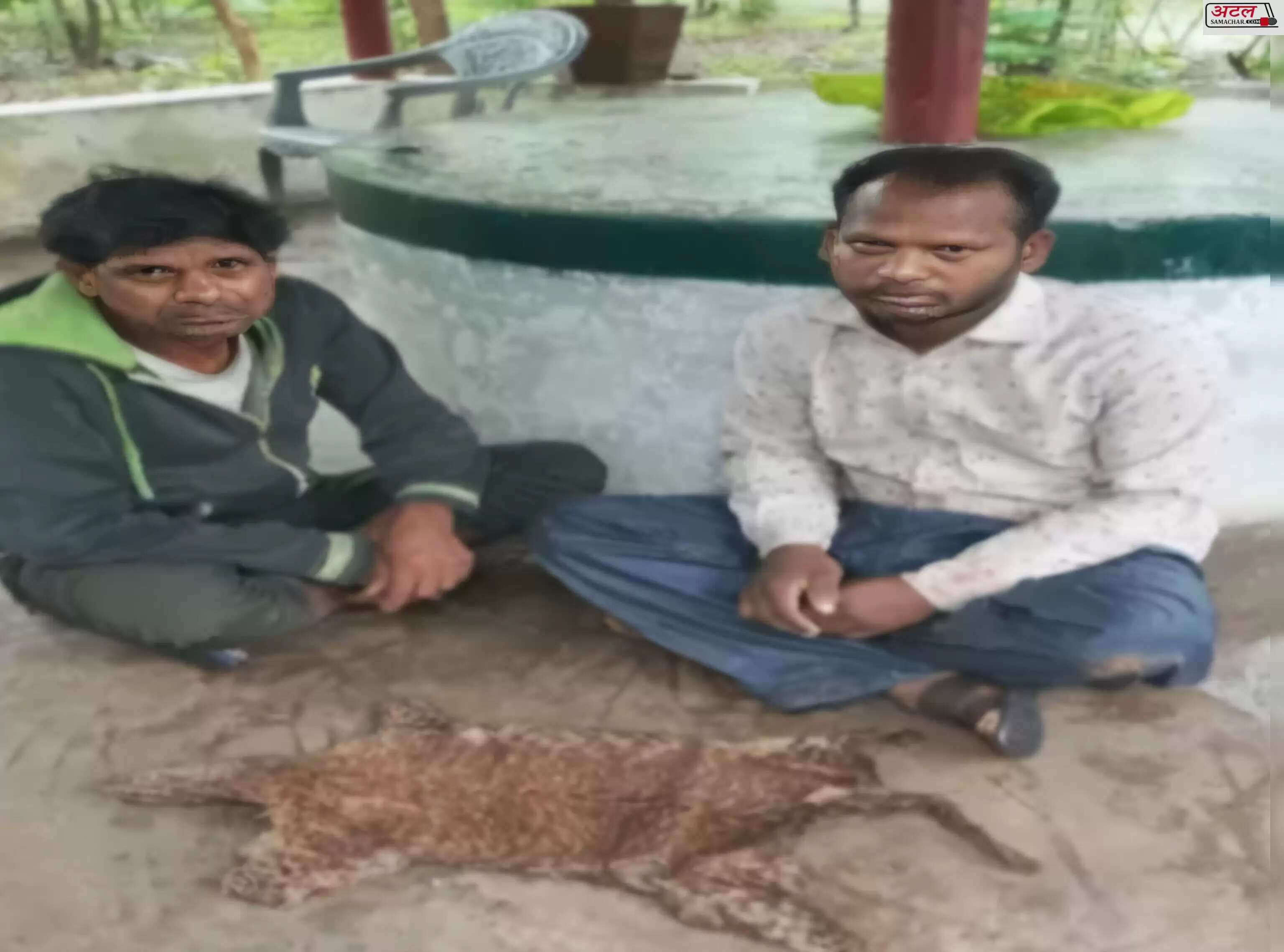 કાર્યવાહી