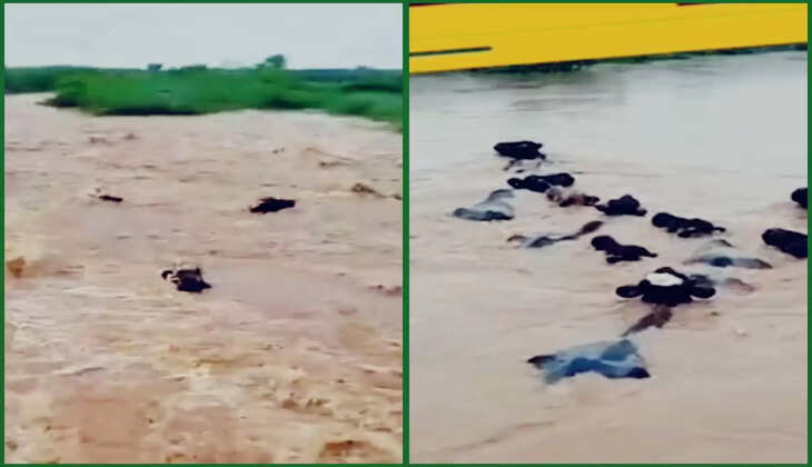 વરસાદ@ગુજરાત: આજે નખત્રાણામાં જળબંબાકારની સ્થિતિ સર્જાઈ, જનજીવન અસ્તવ્યસ્ત