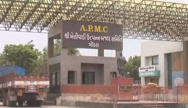 Gondal APMC 