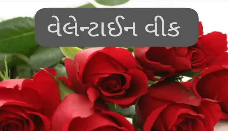 રિપોર્ટ@ગુજરાત: 7 થી 14 ફેબ્રુઆરી વેલેન્ટાઇન વીક, જાણો કયા દિવસે કયો ડે ઉજવાય છે?