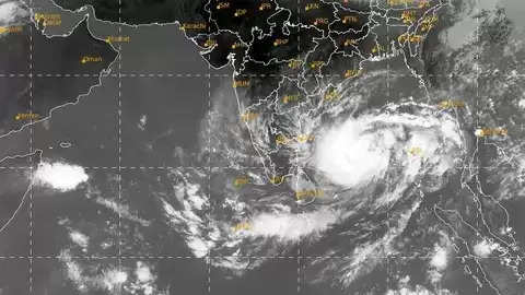 Mocha Cyclone 