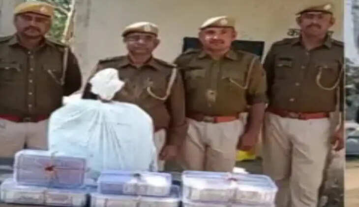 કાર્યવાહી