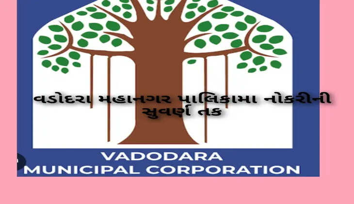 જાહેરાત@વડોદરા: મહાનગરપાલિકા દ્વારા વિવિધ જગ્યાઓ માટે ભરતી બહાર પાડવામાં આવી, કેવી રીતે અરજી કરવી?