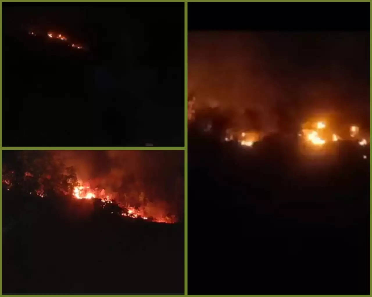 દુર્ઘટના@ગુજરાત: બારીકોટાના વિસ્તારમાં આવેલ જંગલમાં અગમ્ય કારણોસર આગ ભભૂકી
