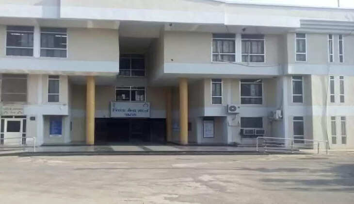 ગંભીર@પાટણ: કલેક્ટરેટમાં ત્રાટકી એસીબી, જમીન માપણી સામે ખેડૂત પાસેથી પૈસા લેતાં સર્વેયર પકડાયા