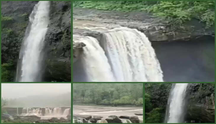 રિપોર્ટ@ગુજરાત: સારા વરસાદને પગલે ડાંગમાં પ્રકૃતિ સોળે કળાએ ખીલી ઉઠી, ગીરાધોધ સક્રિય થયો