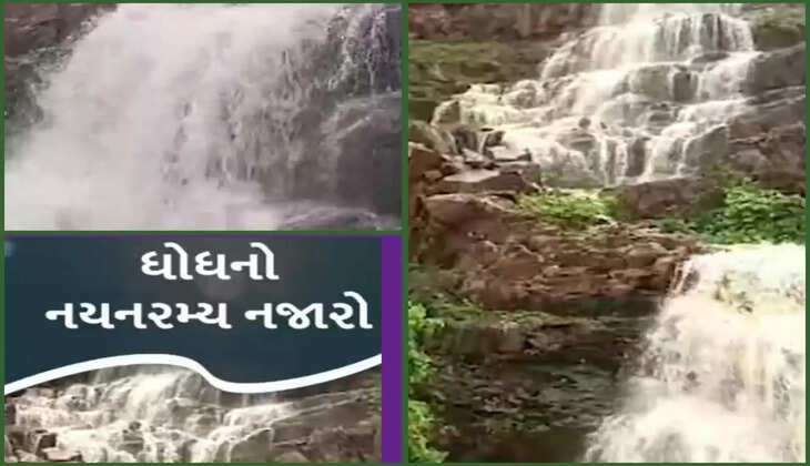રિપોર્ટ@અરવલ્લી: ભારે વરસાદના કારણે ધોધનો અદભુત નજારો જોવા મળ્યો