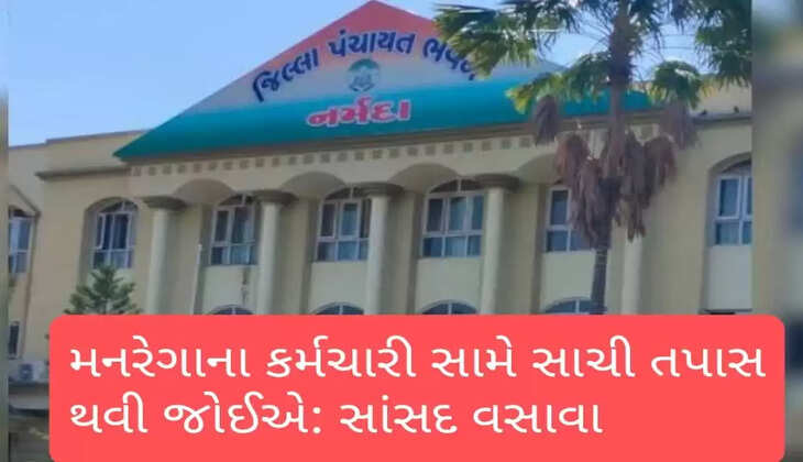 ગંભીર@નર્મદા: મનરેગાના કરારીની બેનામી આવક વિરુદ્ધ સાંસદની ફરિયાદ છતાં નિયામકે નોટીસથી સંતોષ માન્યો, CRDને સમર્પિત
