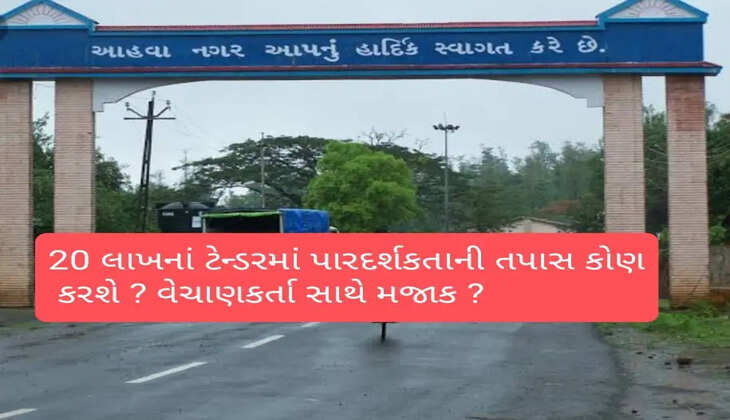 વહીવટ@ડાંગ: ગ્રામ પંચાયતે 20 લાખનું ટેન્ડર કર્યું, ઘટતાં ડોક્યુમેન્ટની ચોખવટ વગર વેચાણકર્તાને ઉડાવ્યા, મોટો ઘટસ્ફોટ