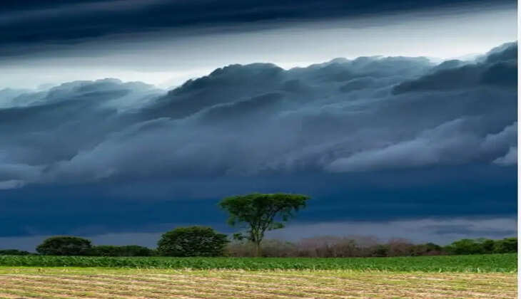 વાતાવરણ@ગુજરાત: દિવાળી સમયે જ અમરેલી જિલ્લાના વાતાવરણમાં પલટો આવતા ખેડૂતોની ચિંતા વધી