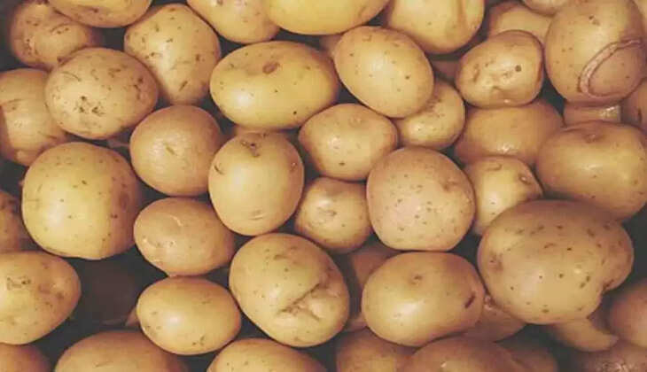 Bataka 
