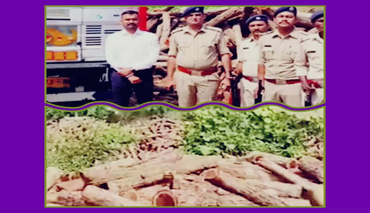 રિપોર્ટ@ગુજરાત: દક્ષિણ ગુજરાતના જંગલોમાંથી ખેરના લાકડાની ફિલ્મ પુષ્પા સ્ટાઈલમાં ચોરી કરવાનું કૌભાંડ સામે આવ્યું