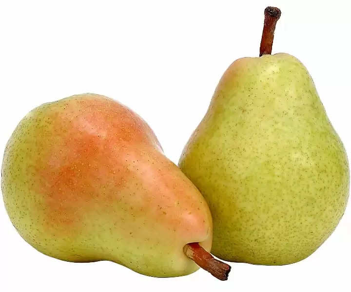 આરોગ્ય@શરીર: નાસપતિ ફળએ સ્વાસ્થ્ય માટે ખૂબ જ ફાયદા કારક છે.જાણો ખાવાના ફાયદા  