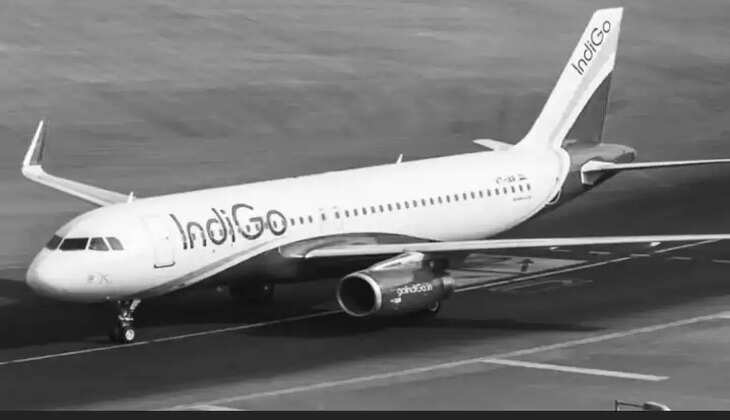 અટલ સમાચાર ડોટ કોમ, ડેસ્ક