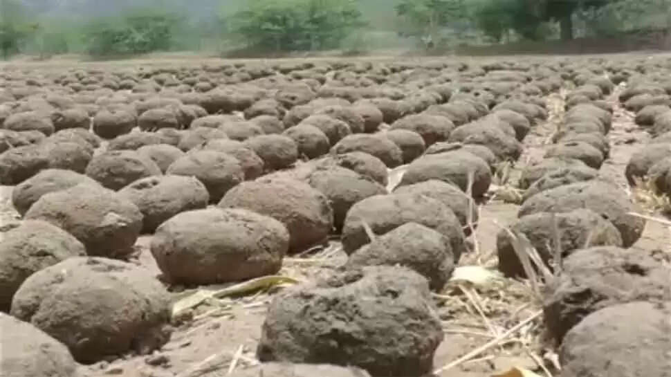 બનાસકાઠા