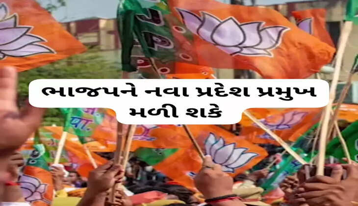 રાજકારણ@દેશ: ઉત્તર ગુજરાતમાંથી ભાજપને નવા પ્રદેશ પ્રમુખ મળી શકે, જાણો વધુ વિગતે