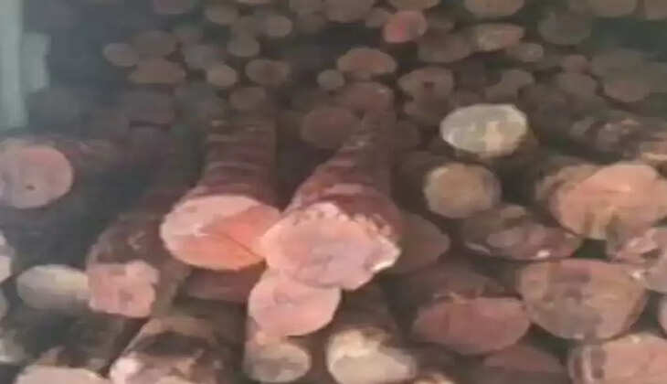 ચંદન