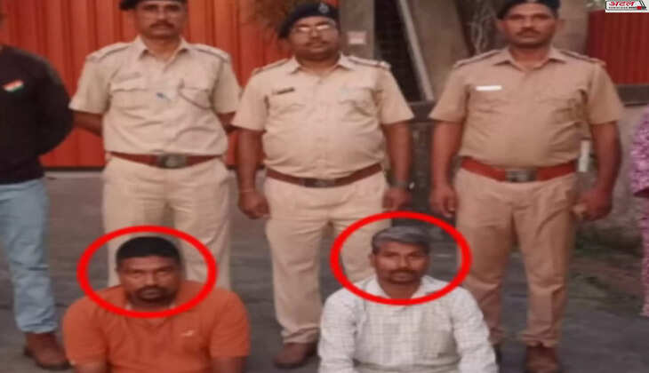 કાર્યવાહી