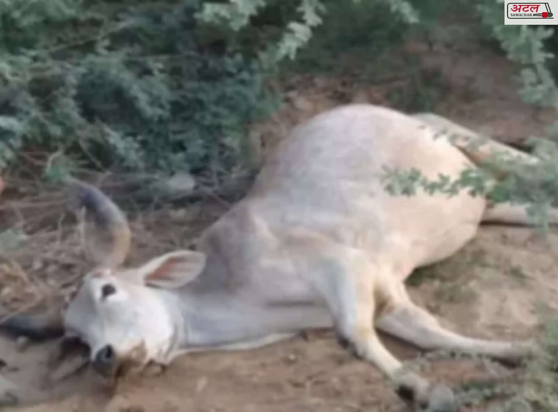 ઘટના
