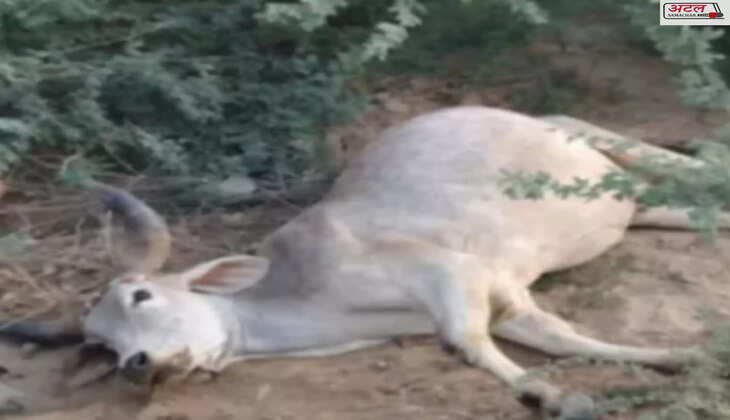 ઘટના