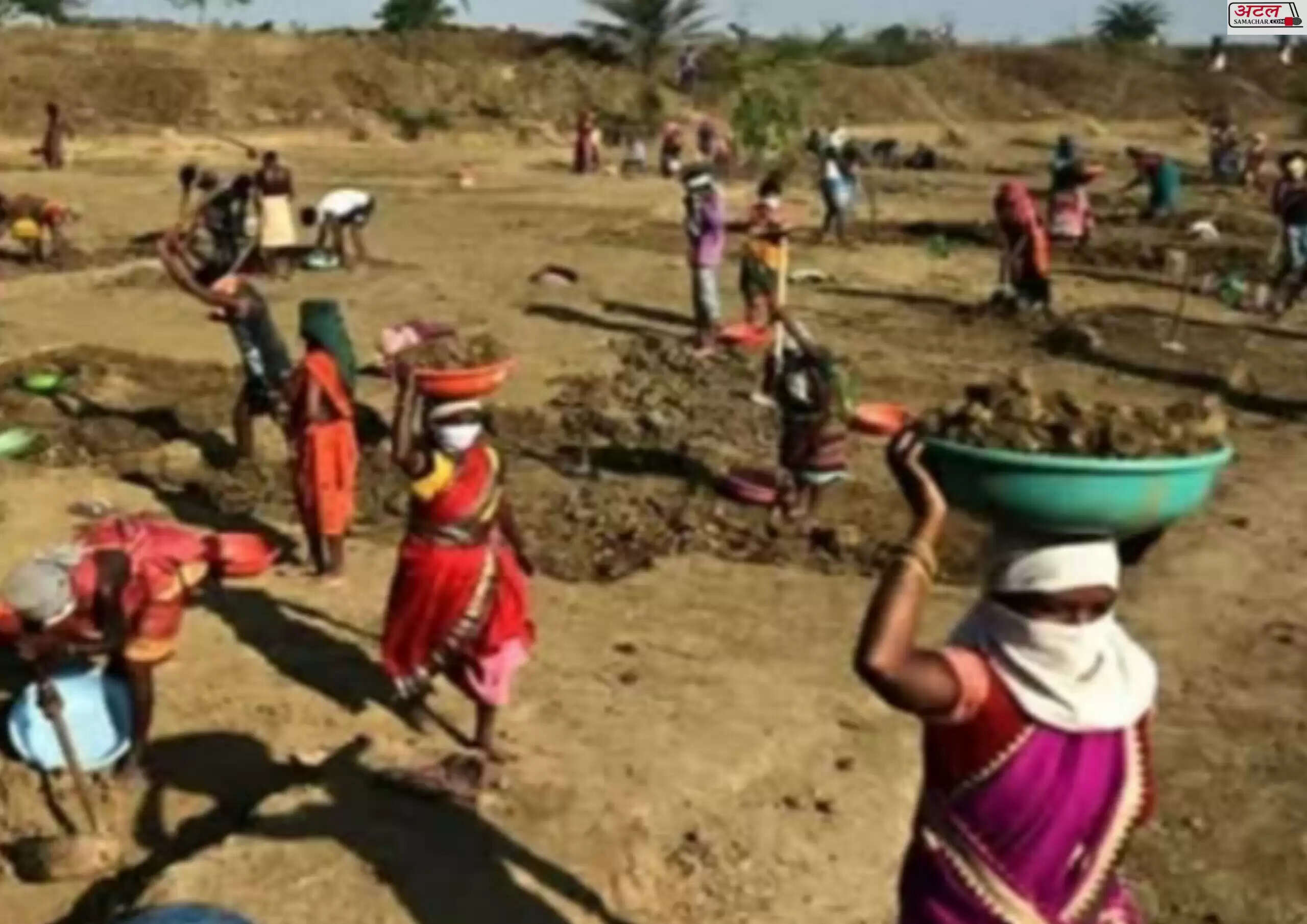 કૌભાંડ