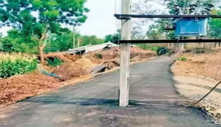 કાર્યવાહી