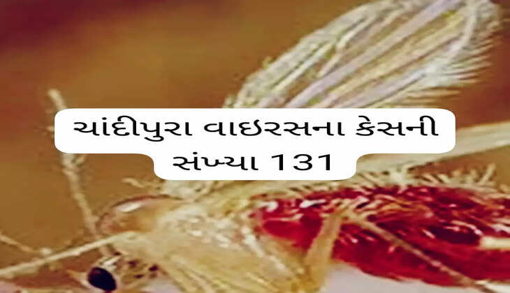 રિપોર્ટ@ગુજરાત: ચાંદીપુરા વાઇરસના કુલ કેસની સંખ્યા 131, મૃત્યુઆંક 53એ પહોંચ્યો