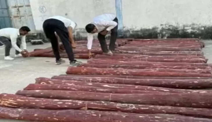 ચંદન