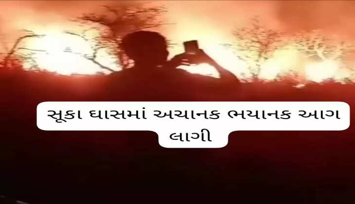 અટલ સમાચાર ડોટ કોમ, ડેસ્ક