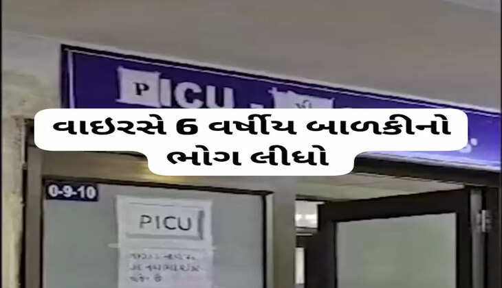 રિપોર્ટ@ગુજરાત: ચાંદીપુરા વાઇરસે 6 વર્ષીય બાળકીનો ભોગ લીધો, જાણો વધુ વિગતે