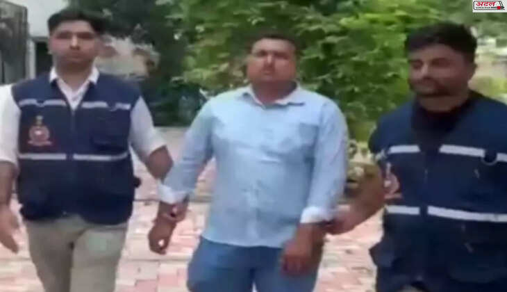 કાર્યવાહી