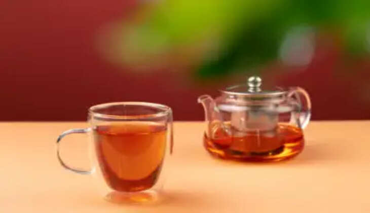 રિપોર્ટ@અમેરિકન: નેશનલ કેન્સર ઇન્સ્ટિટ્યૂટના વૈજ્ઞાનિકોએ ચા પર એક સંશોધન કર્યું, જાણો નવા રિસર્ચમાં શું સામે આવ્યું