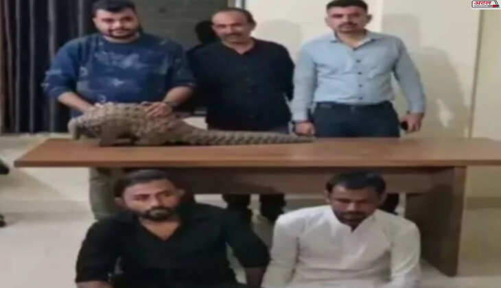 કાર્યવાહી