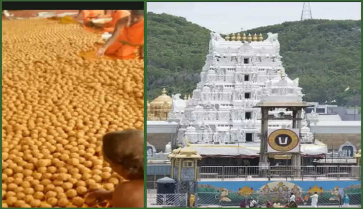 રિપોર્ટ@દેશ: તિરુપતિ મંદિરના લાડુ પ્રસાદમની પવિત્રતા અને શુદ્ધતા મામલે વિવાદ