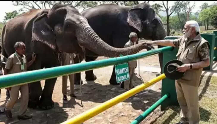 Pm modi