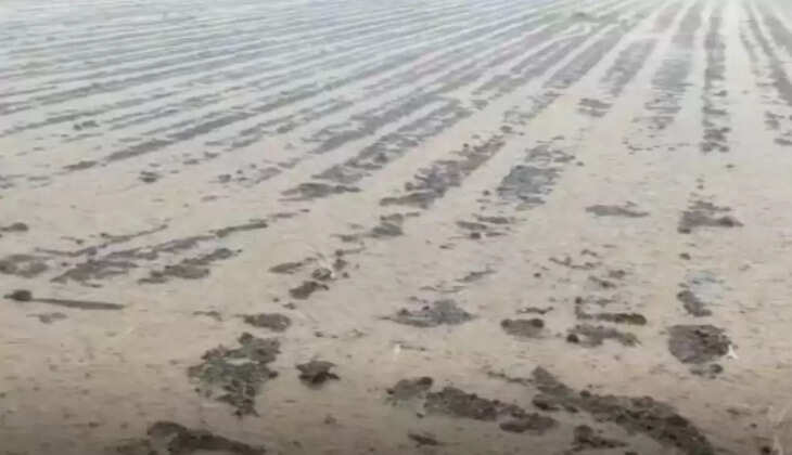 Monsoon