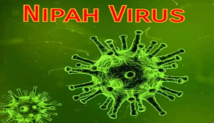 અપડેટ@દેશ: નિપાહ વાઇરસ એ એક ઝૂનોટિક રોગ છે જે પ્રાણીઓમાંથી માણસોમાં ફેલાય