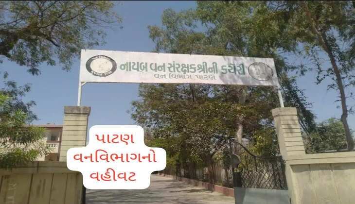 પાટણ વનવિભાગ