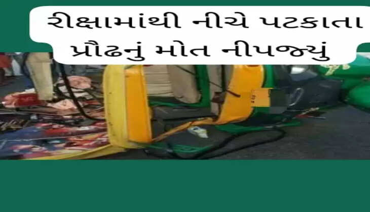 પટેલ વાડી પાસે રિક્ષામાંથી પડી જવાથી ઘવાયેલા પ્રૌઢનું મોત નીપજ્યું