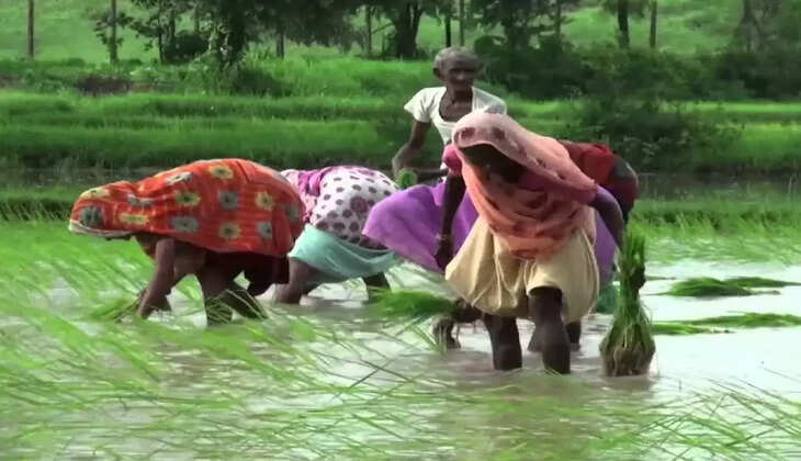 Farmer
