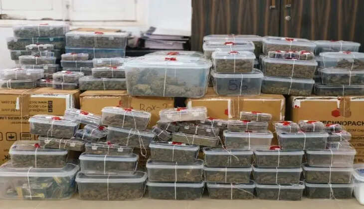 ડ્રગ્સ